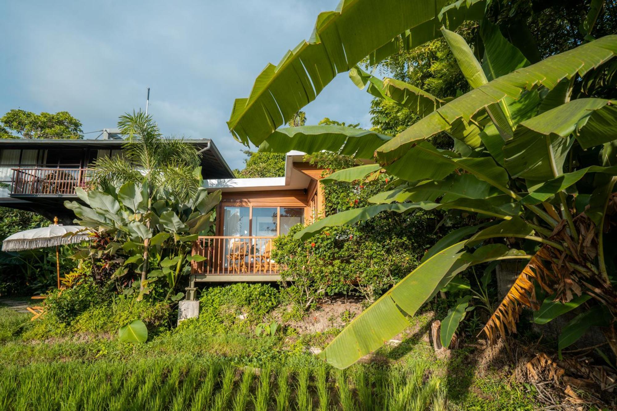 Gruen Ubud Exteriér fotografie