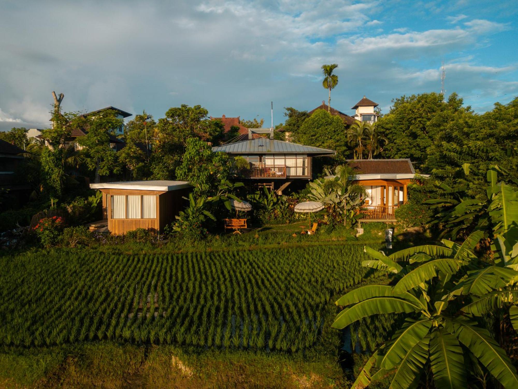 Gruen Ubud Exteriér fotografie